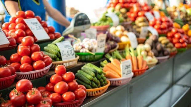 ilustrasi penjual sayur