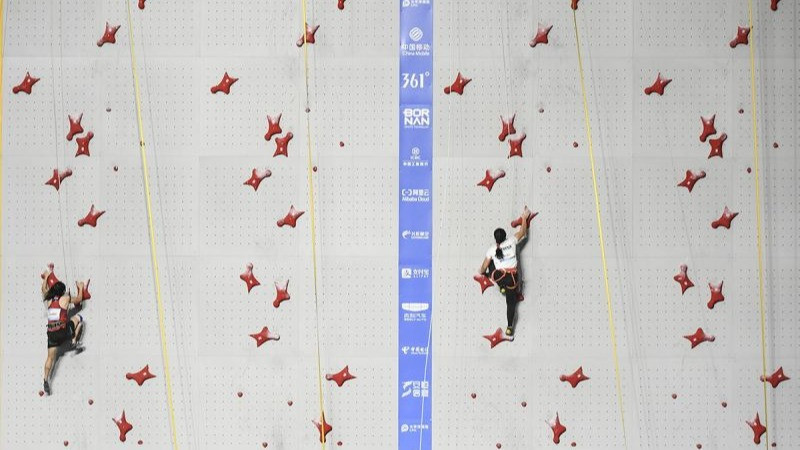 Atlet panjat tebing Indonesia Desak Made Rita Kusuma Dewi memacu kecepatan saat melawan atlet China pada final speed relay putri Asian Games 2022 di Shaoxing Keqiao Yangshan Sport Climbing Centre, Shaoxing, China, Rabu (4/10/2023).