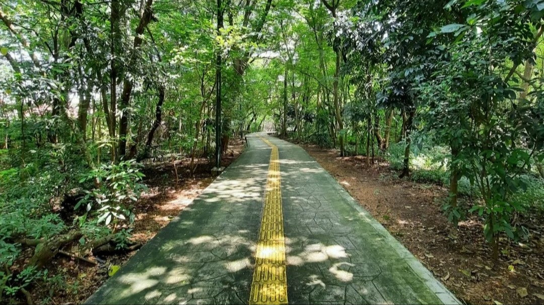 Hutan Kota Srengseng