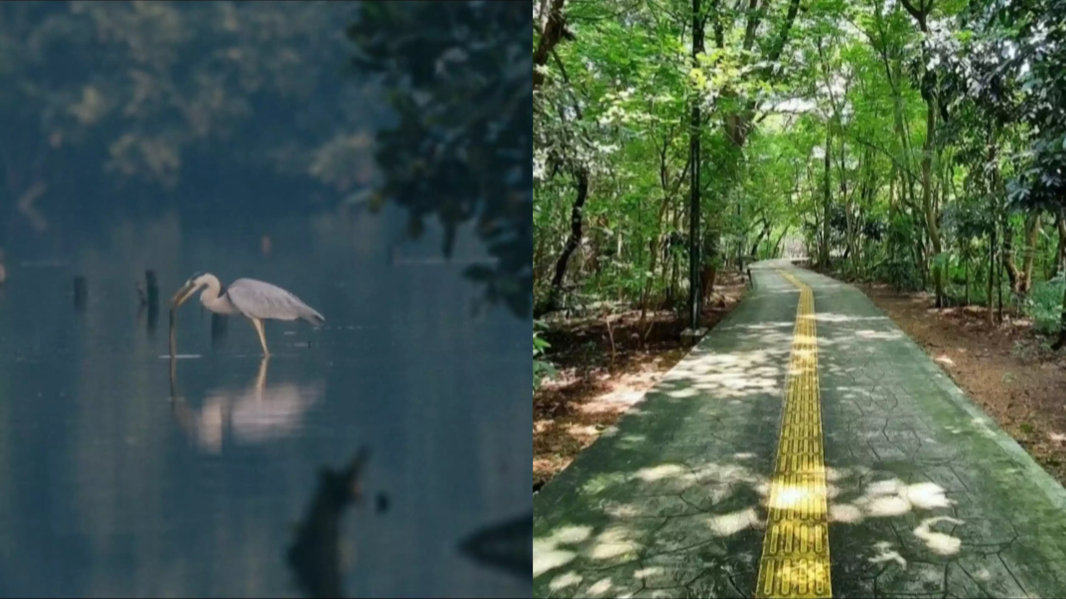 Wisata alam di Jakarta