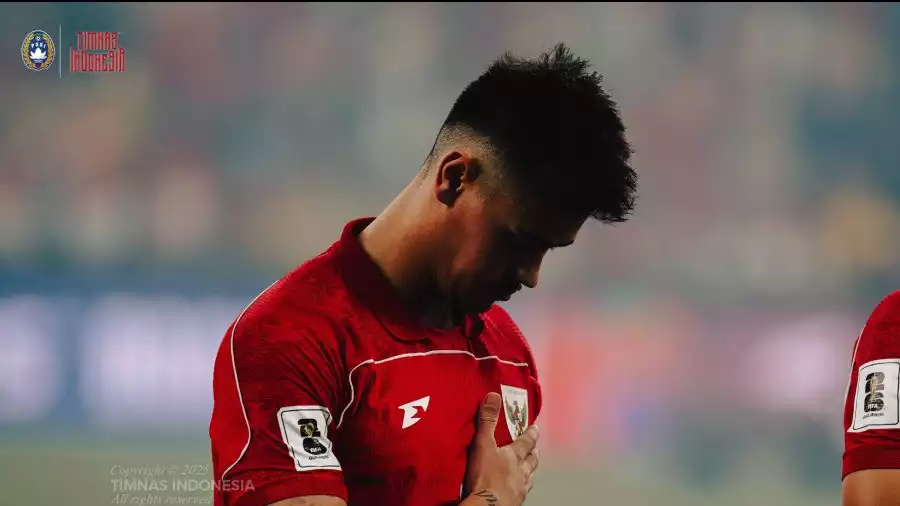 Bek Timnas Indonesia, Mees Hilgers