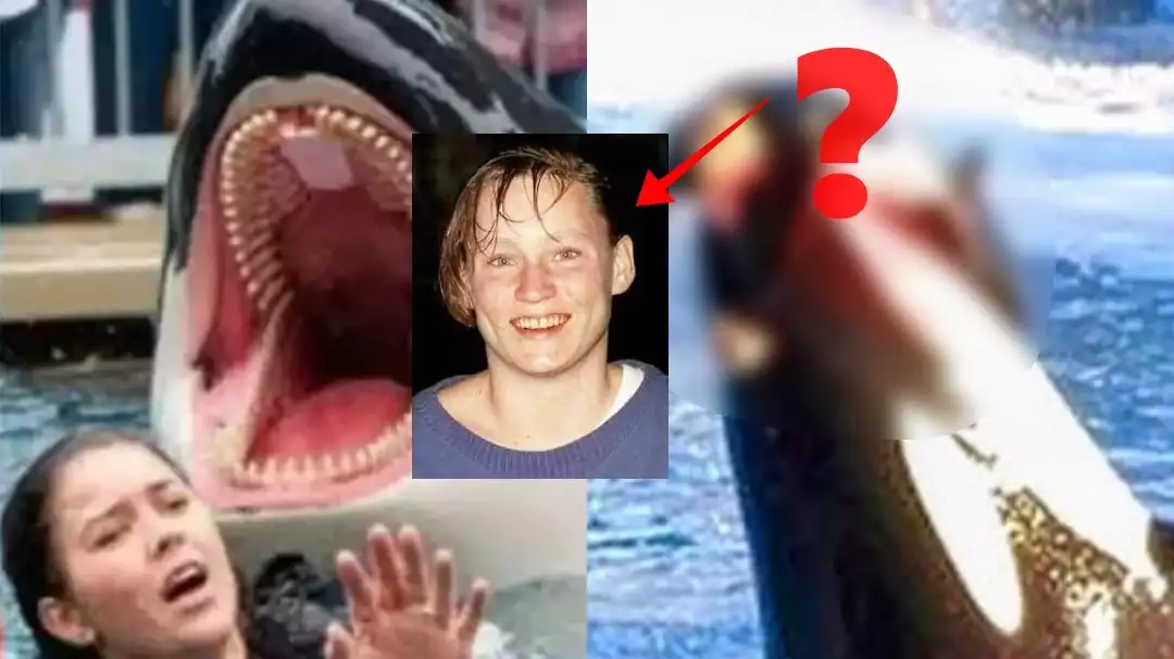 Bukan Hoaks, Kejadian Seperti Jessica Radcliffe Pernah Terjadi di Dunia Nyata, Sebelum Meninggal Tubuhnya di...