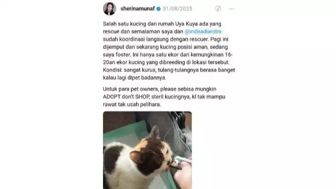 Artis Sherina Munaf akan diminta klarifikasi terkait penyelamatan kucing Uya Kuya yang dijarah