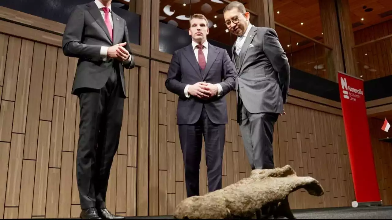 Menteri Kebudayaan Republik Indonesia, Fadli Zon, secara resmi menerima pengembalian Koleksi Dubois, termasuk fosil manusia purba Pithecanthropus erectus (kini diklasifikasikan sebagai Homo erectus).