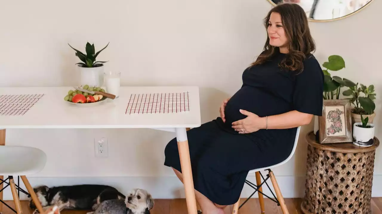 ilustrasi wanita hamil