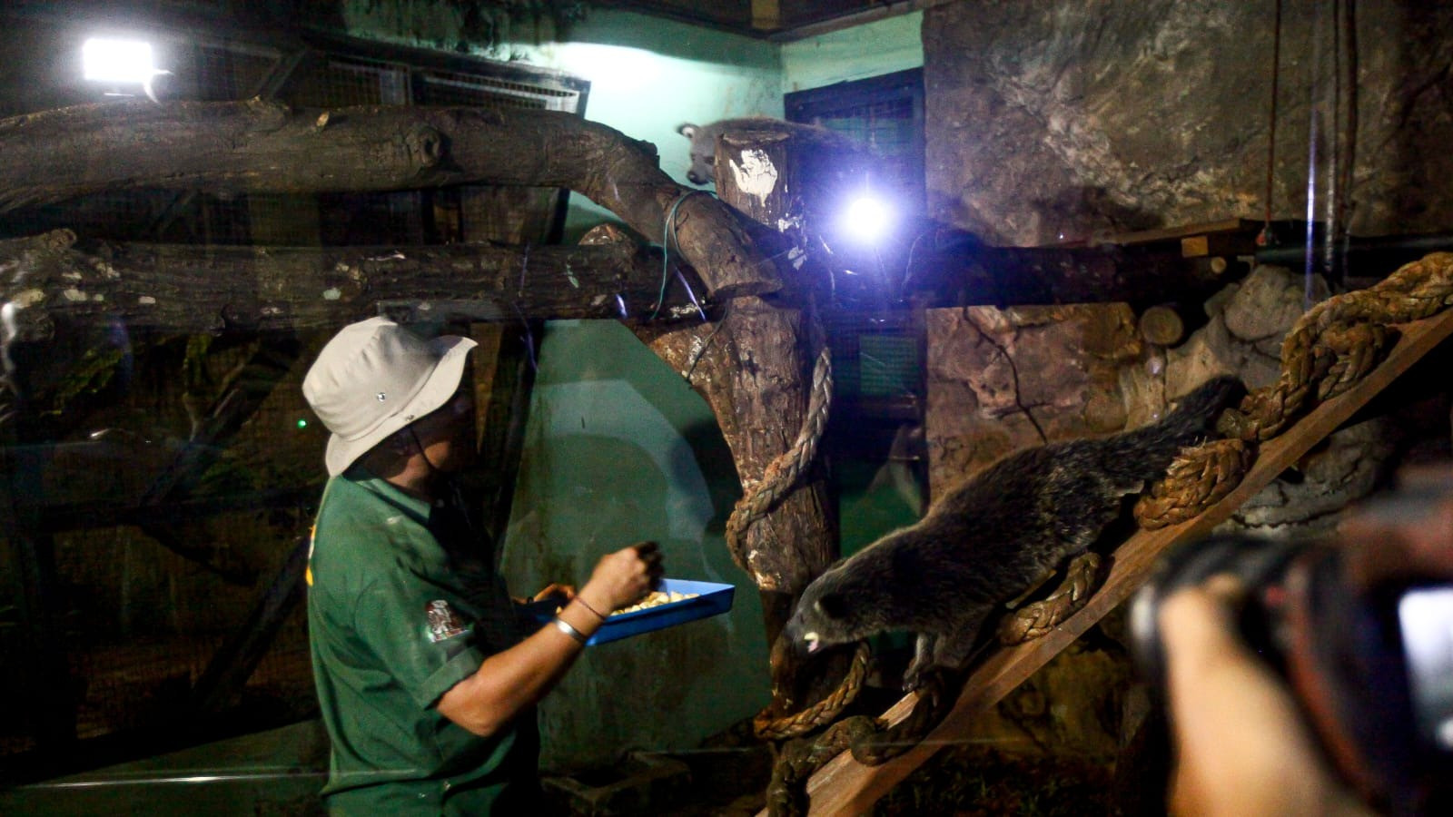 Antusiasime warga Jakarta menyambut pembukaan Wisata Malam Taman Margasatwa Ragunan, Jakarta Selatan, Sabtu (11/10/2025)