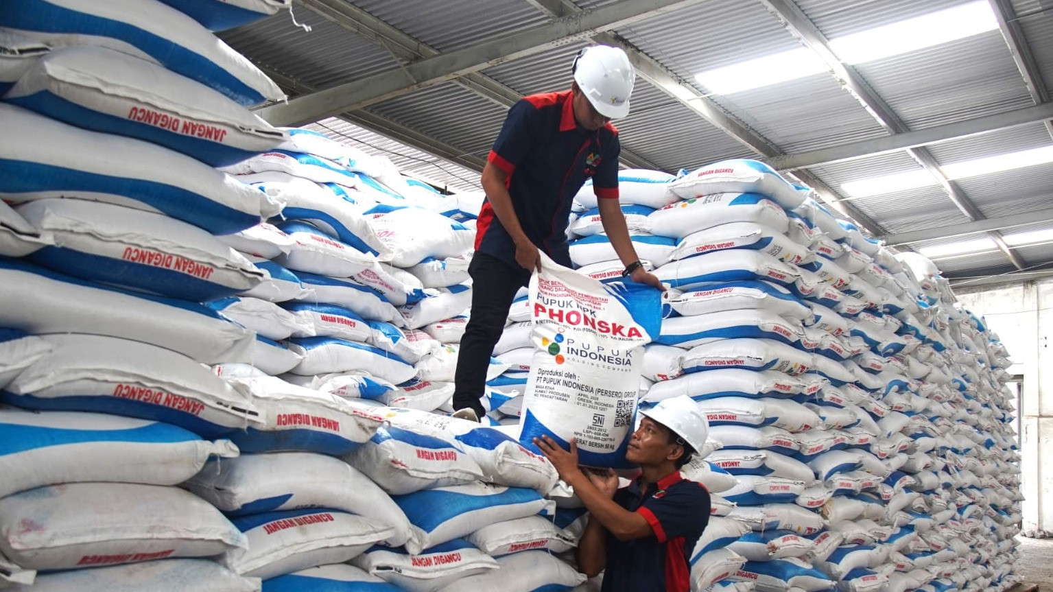 Setahun Pemerintahan Prabowo-Gibran: Petani Untung, Produksi Naik, Pupuk Murah?
            - galeri foto