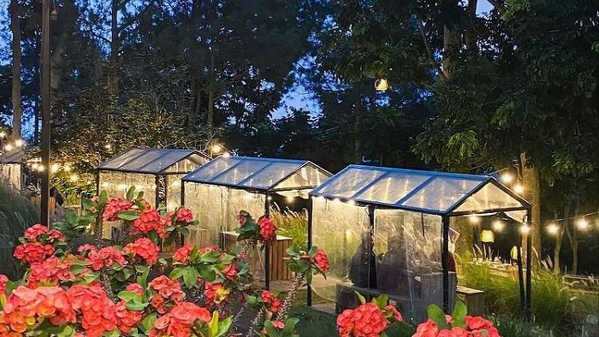 10 Tempat Ngopi Terbaik di Bandung dengan Pemandangan Alam yang Bikin Betah, Cocok buat Santai saat Libur Nataru 2025
            - galeri foto