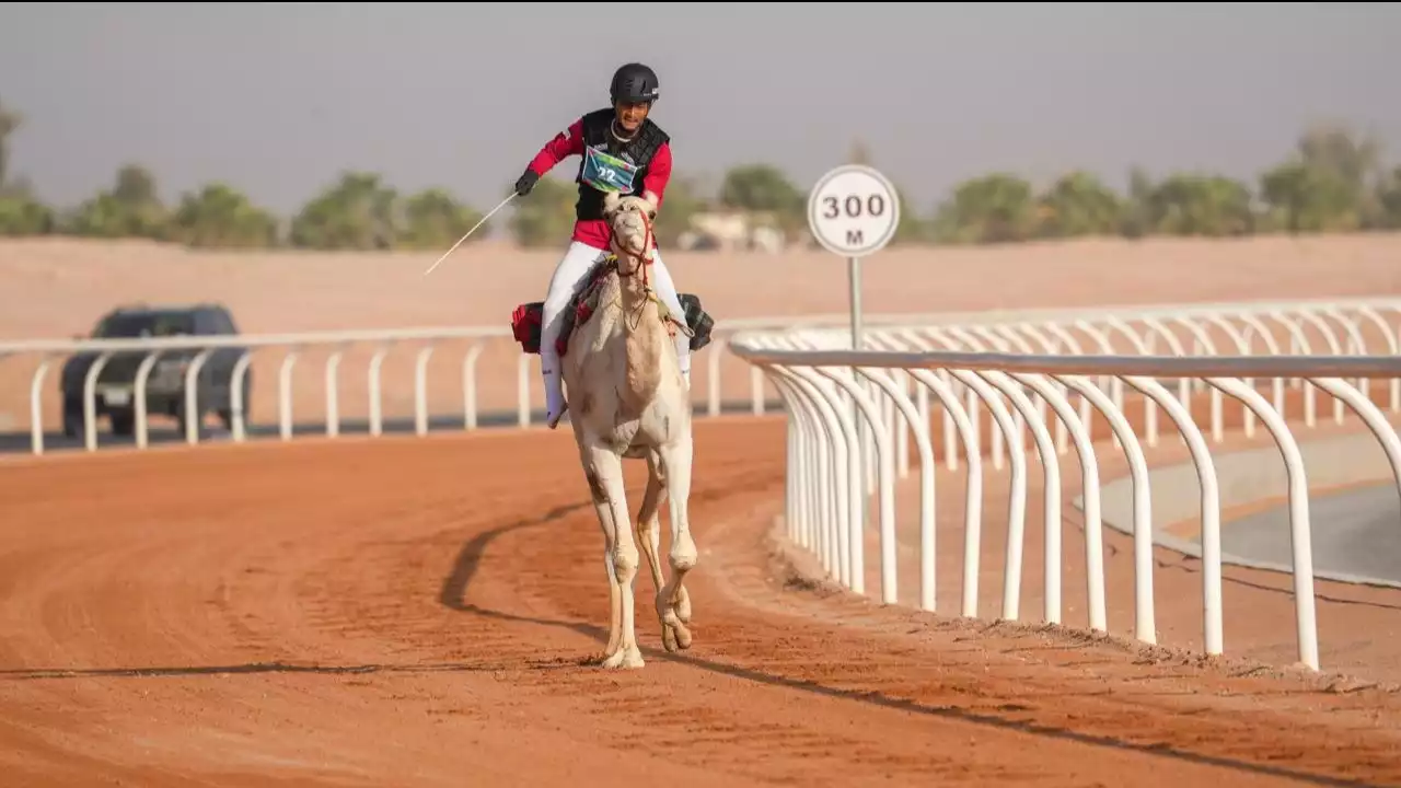 Ikhwannudin Tuntaskan Debut di Balap Unta ISG 2025,