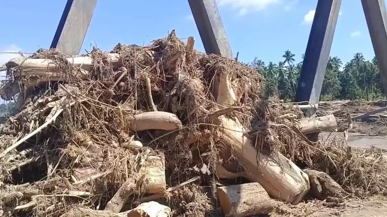 Tumpukan kayu gelondongan yang hanyut akibat banjir bandang di Aceh, Selasa (2/12/2025).