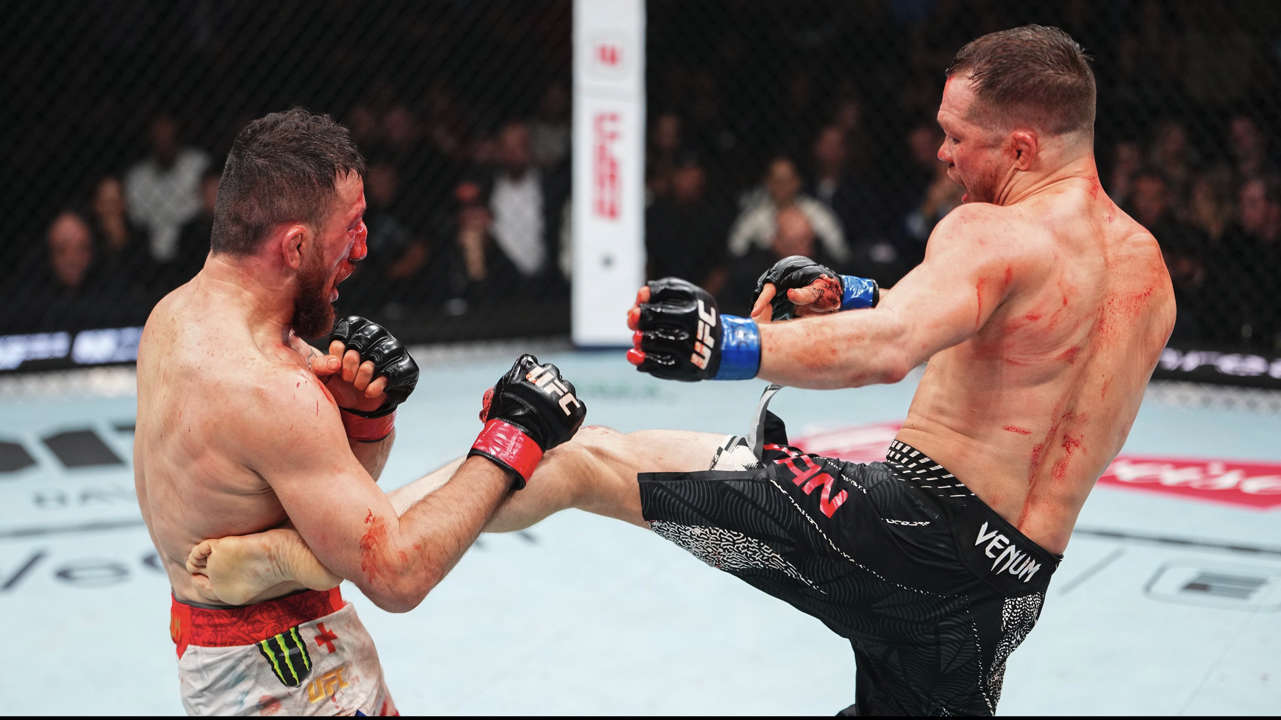 UFC 323: Merab Dvalishvili vs Petr Yan