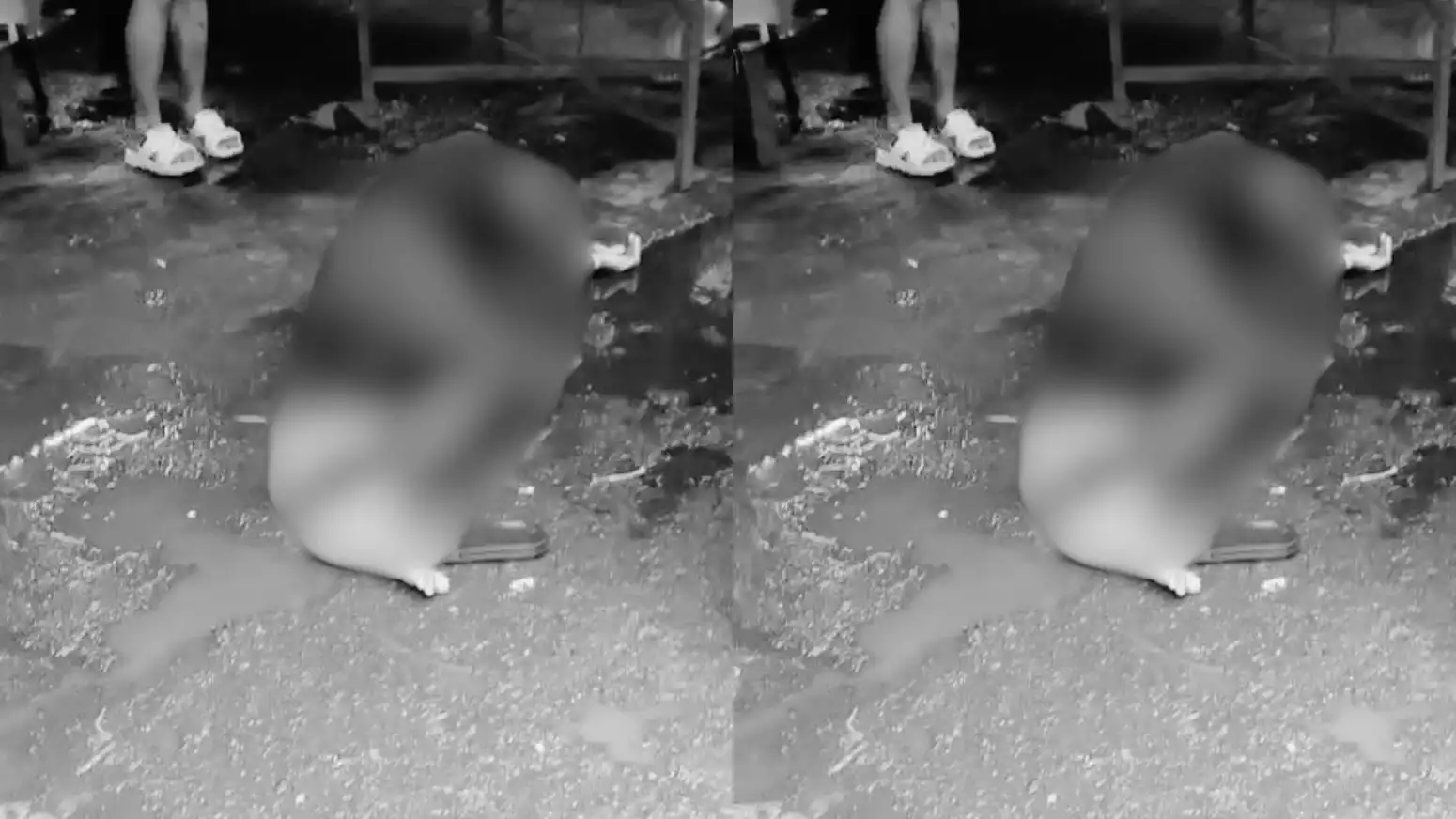 Dua pria ditemukan bersimbah darah di TMP Kalibata