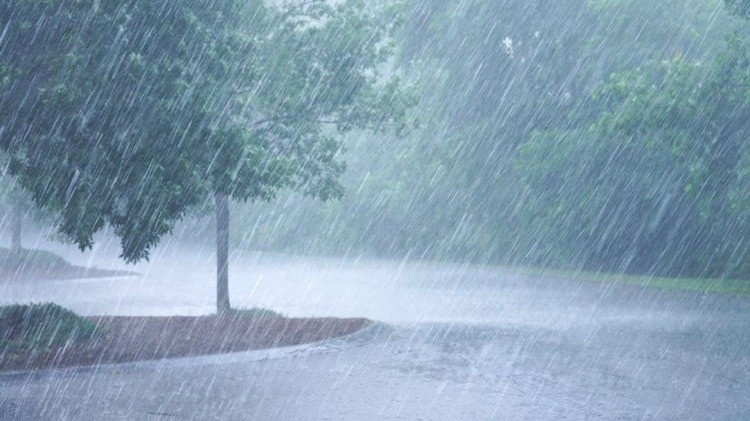 Tips Sehat Saat Liburan Akhir Tahun di Tengah Puncak Musim Hujan