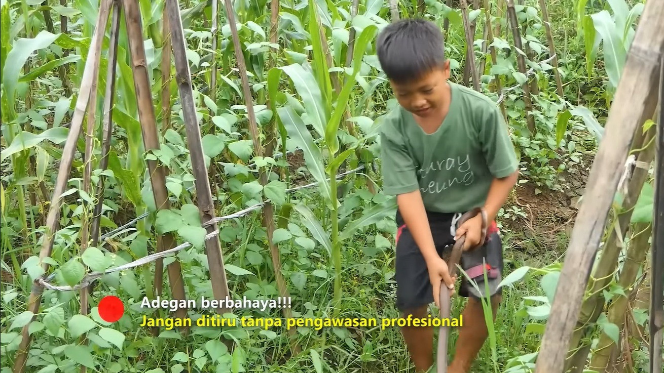 Bocah Dika saat menangkap ular di hadapan Dede Inoen & Panji Petualang