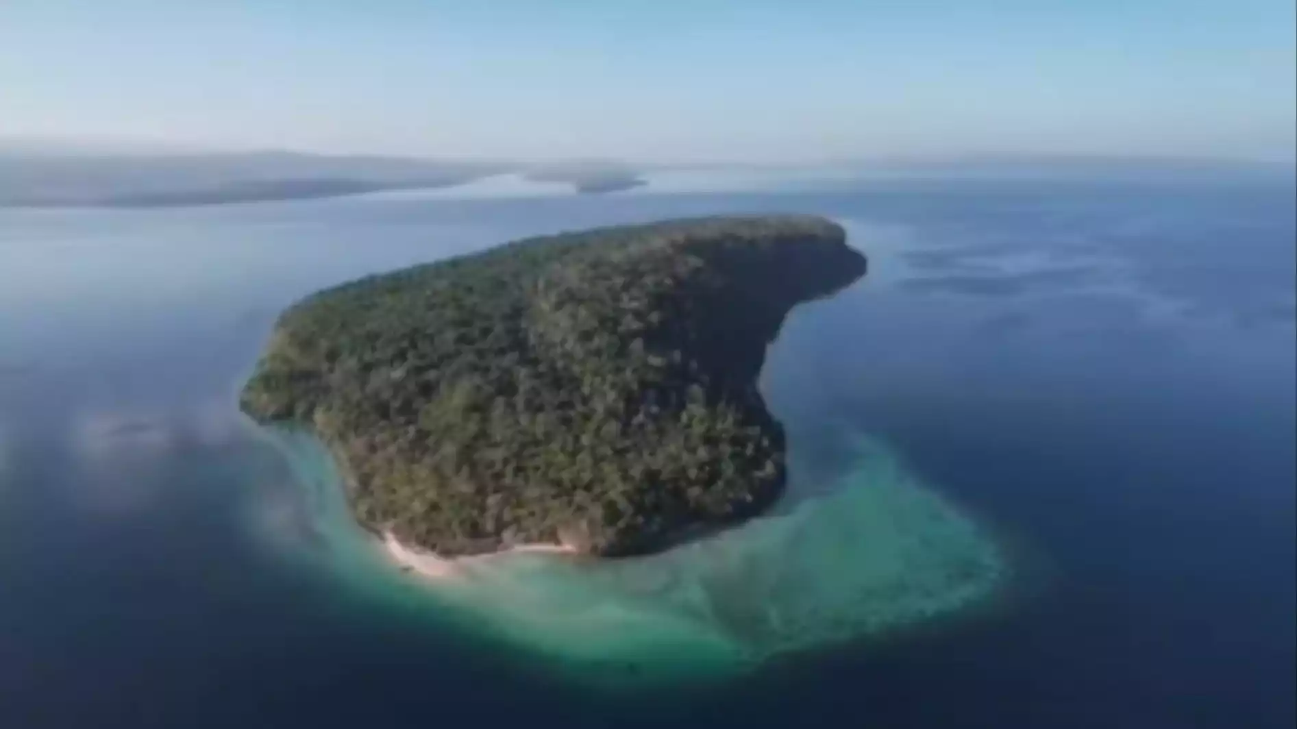 Heboh Pulau Pendek di Buton Dijual di Situs Online