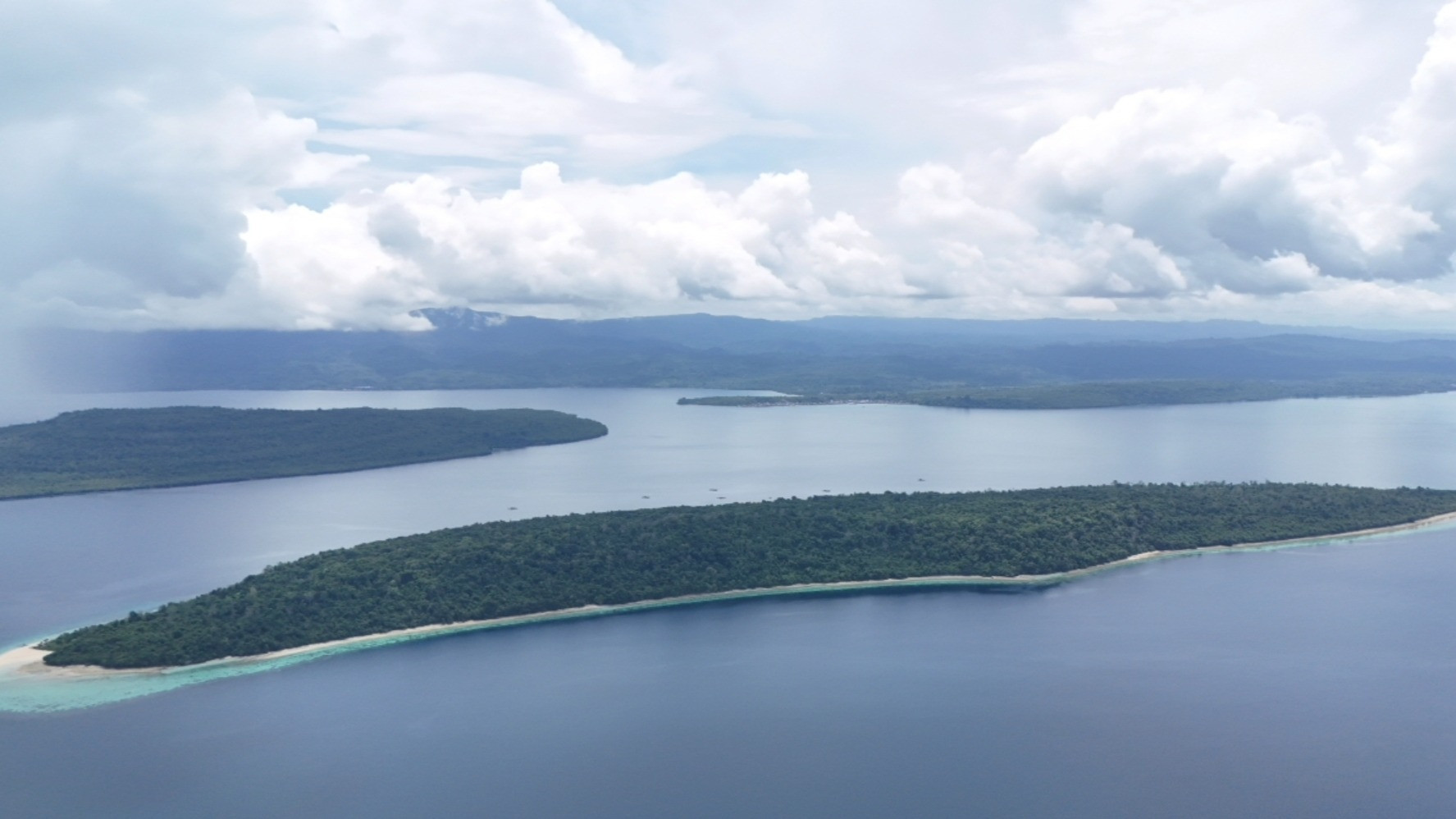 Heboh Pulau Pendek di Buton Dijual di Situs Online