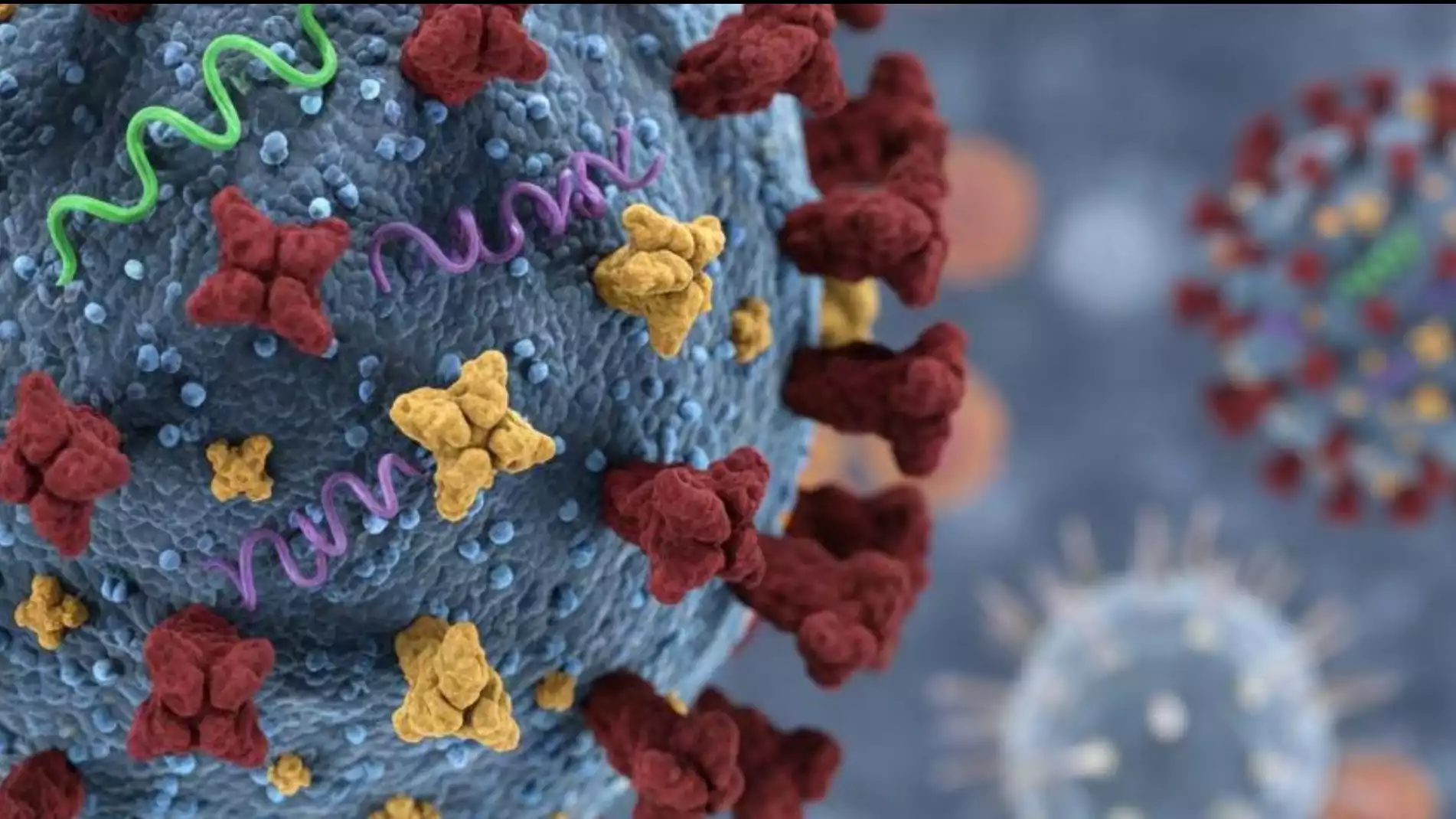 Praktisi Kesehatan Masyarakat Ingatkan Super Flu Bisa Dicegah, Begini Cara Mudahnya