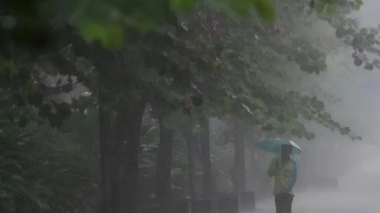 Benarkah Gerimis Lebih Bikin Gampang Sakit daripada Hujan Deras? Ini Penjelasan Dokter
            - galeri foto