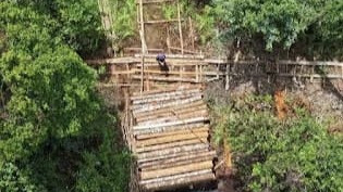 Gakkum Telusuri Rakit Kayu Ilegal Sungai Pawan, 1.500 Batang Disita di Hutan Ulak Medang
            - galeri foto