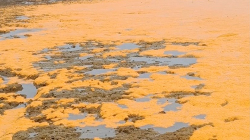 Pemandangan 'Mengerikan' Ribuan Ton Minyak Tumpah di Laut Sumenep, Aktivis Pecinta Alam Beberkan Ancaman Besar
            - galeri foto