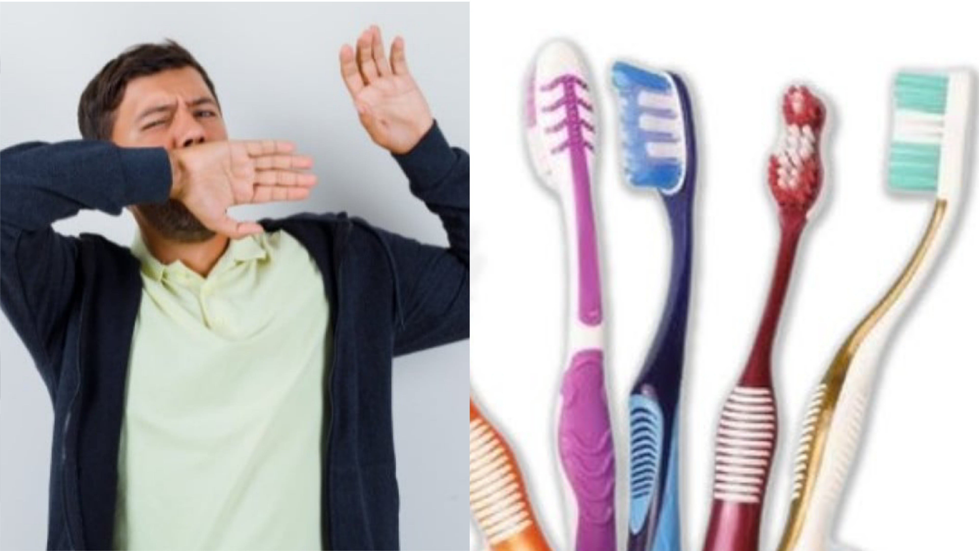 Apakah Benar saat Puasa Ramadhan Tidak Boleh Sikat Gigi?
            - galeri foto