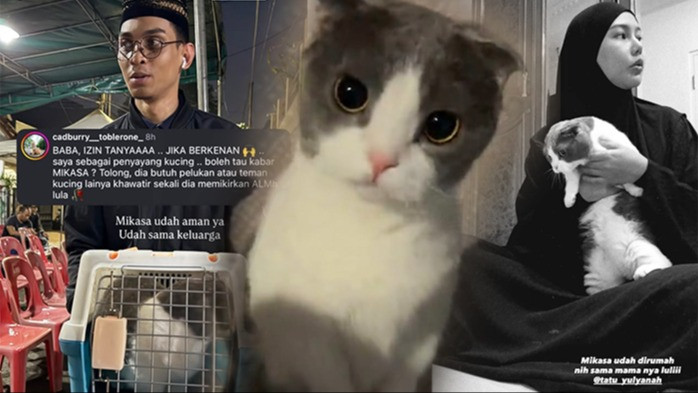 Setelah Lula Lahfah Meninggal, Kucing Kesayangannya Mikasa Turut Kehilangan Pemiliknya, Dara Arafah: Belum Mau Makan
            - galeri foto