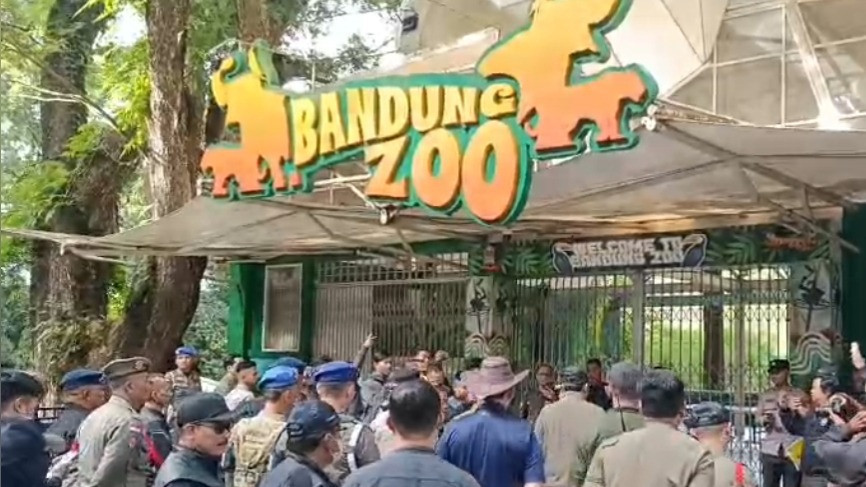 Kebun Binatang Bandung Disegel Satpol PP, Pengunjung Terpaksa Pulang
            - galeri foto