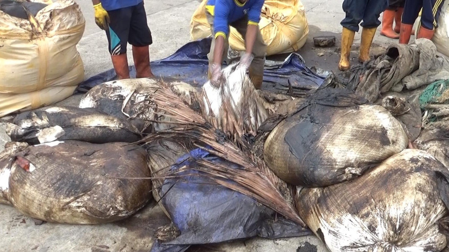 Ribuan Karung Limbah B3 Berisi Minyak Hitam Cemari Pantai Bintan
            - galeri foto