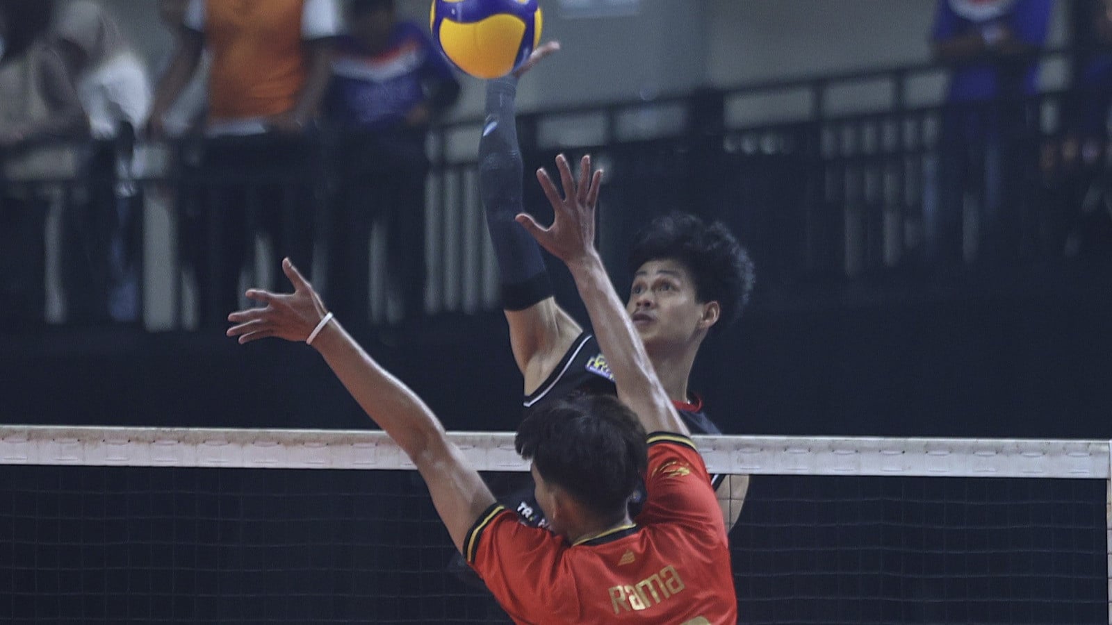 Daftar Penghargaan Individu Proliga 2026: Diborong Jakarta Pertamina Enduro, Megawati Hangestri Jadi MVP Musim Ini!
            - galeri foto