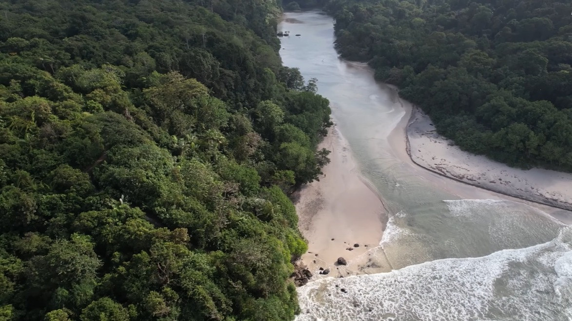 Ada di Ujung Garut, Leuweung Sancang Hutan Sakral dan Keramat Diwarnai Keindahan Bentangan Alam yang Memukau
            - galeri foto