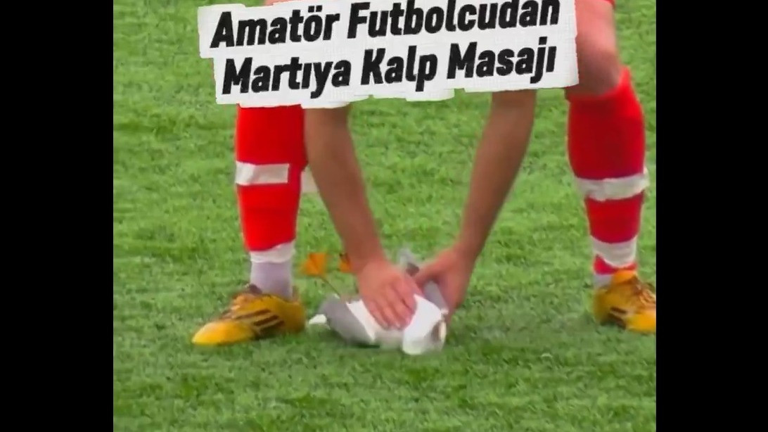 Detik-Detik Mengharukan di Lapangan Istanbul: Burung Camar Terkena Bola Kiper, Pemain Sigap Lakukan CPR
            - galeri foto