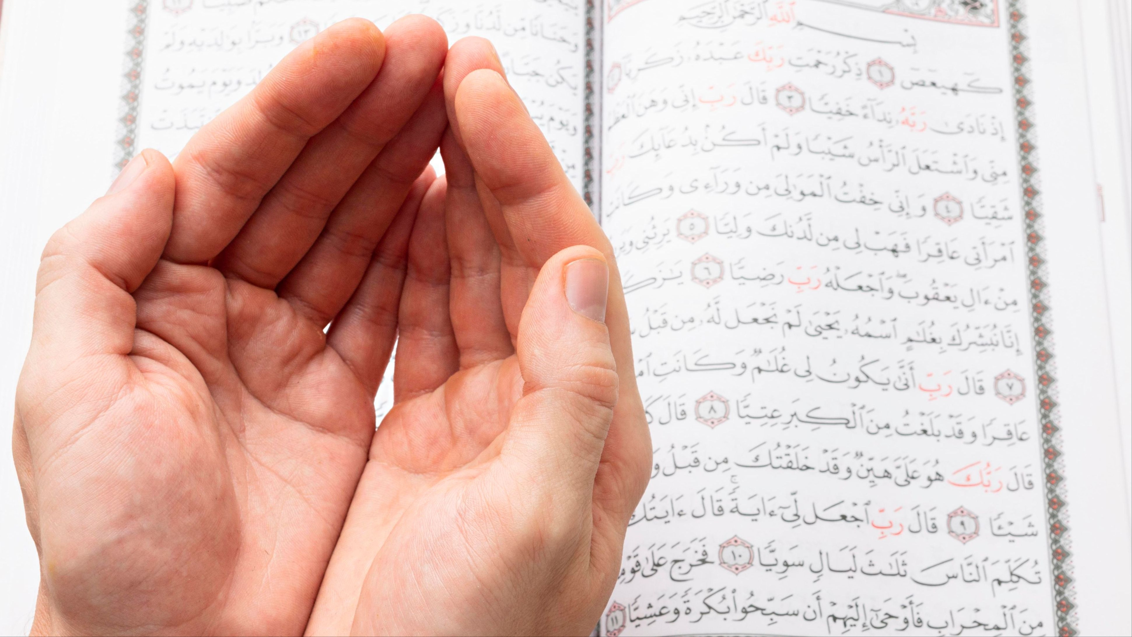 Amalan Rezeki ini Dianjurkan Ustaz Maulana, Cukup 5 Menit Baca Surah Pendek ini Insyaallah Bantu Utang Lunas
            - galeri foto