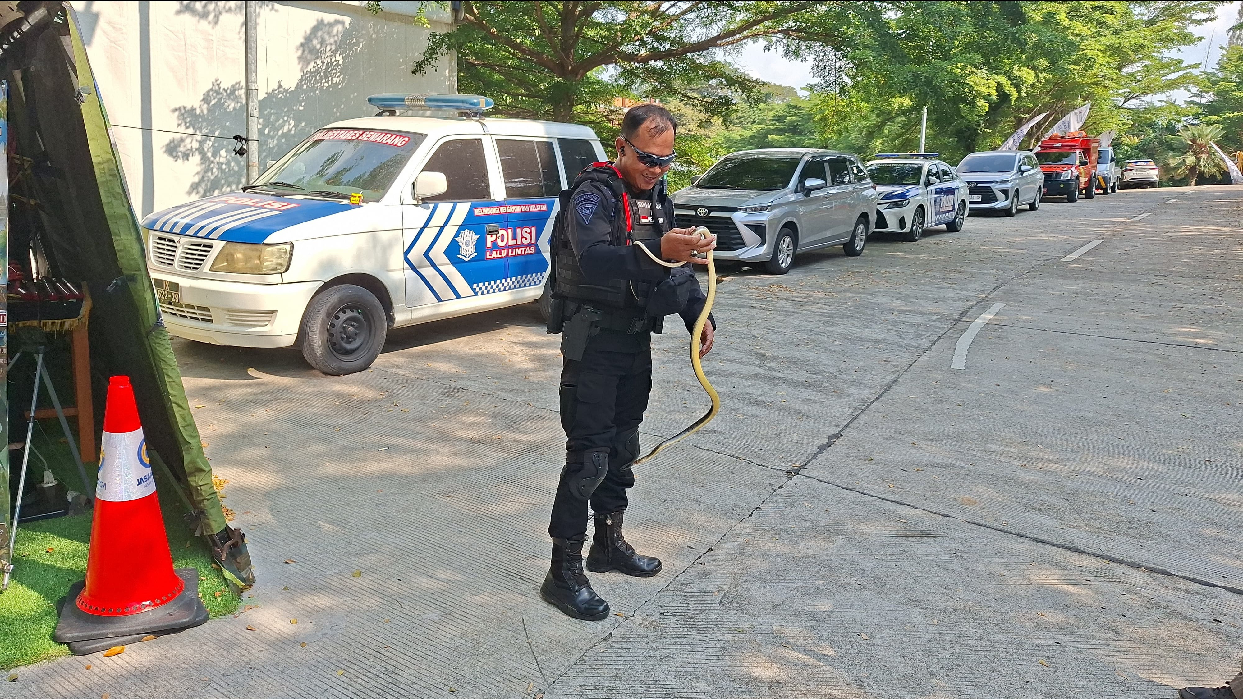 Petugas Brimob tangkap ular berbisa yang masuk ke dalam Posko Mudik di Gerbang Tol Kalikangkung.