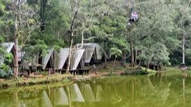 Catat, 7 Rekomendasi Objek Wisata Alam di Puncak yang Tepat Dikunjungi Saat Libur Lebaran
            - galeri foto