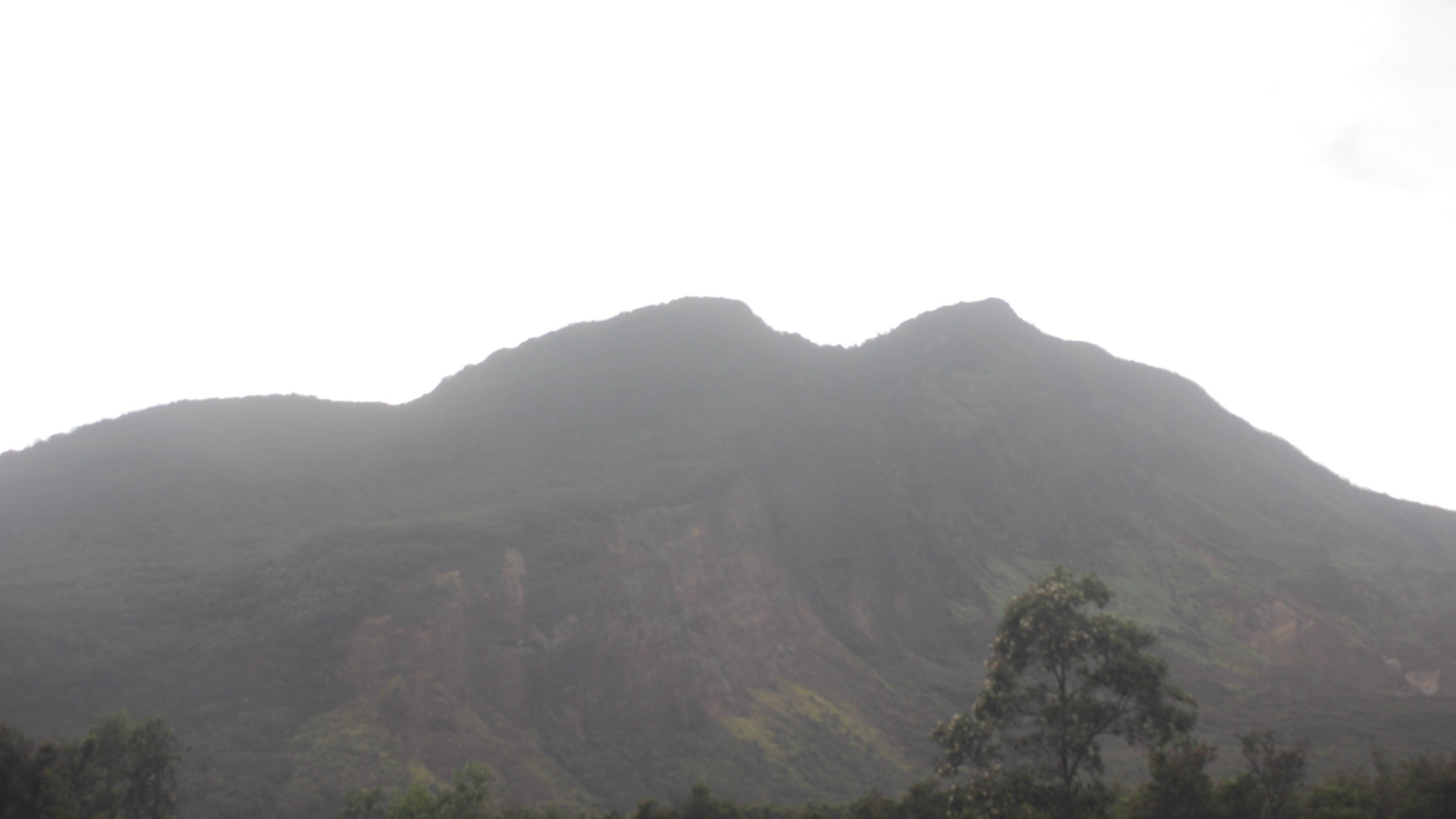 Potret Gunung Papandayan