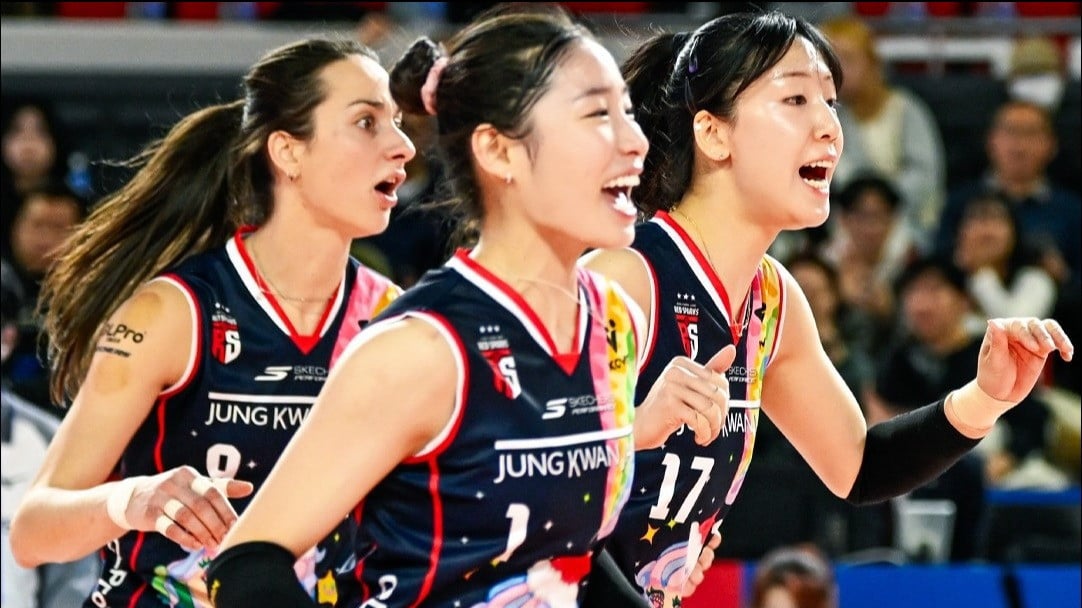 Pemain Red Sparks, Elisa Zanette, Inkushi dan jeong Ho-young