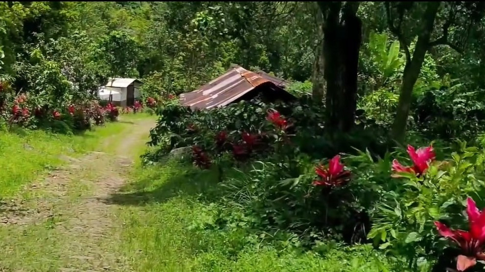 Suasana panorama alam di Kampung Kertoembo, Desa Kare, Madiun, Jawa Timur