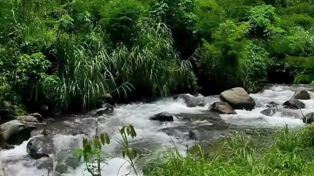 Ada di Jawa Timur, Kertoembo Jadi Kampung Terpencil Cuma Terpapar Sinar Matahari 5 Jam di Lembah Gunung Wilis
            - galeri foto
