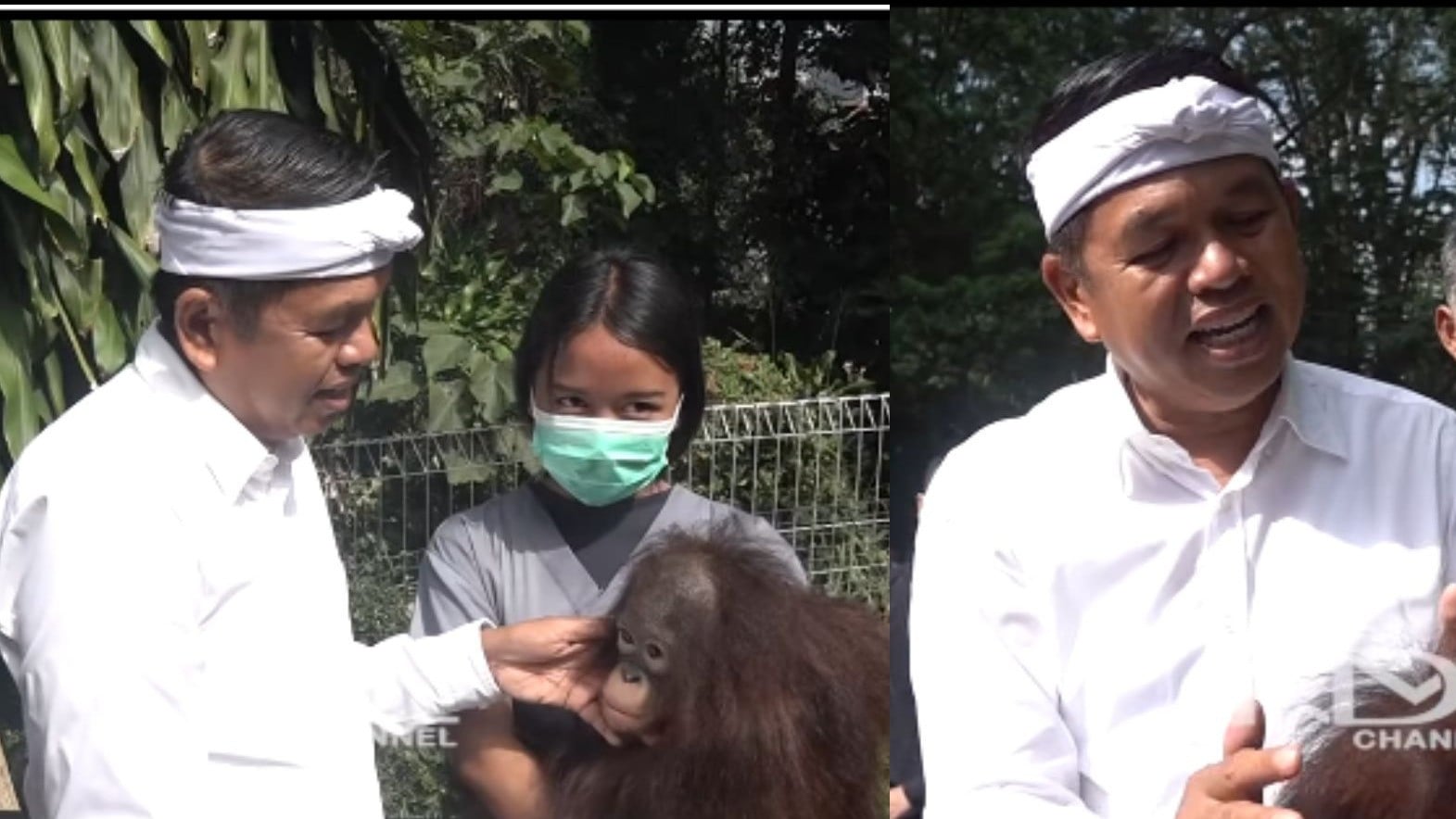 Dedi Mulyadi di Kebun Binatang Bandung