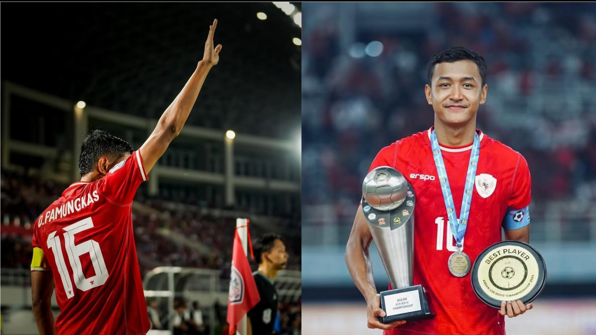 Dony Tri Pamungkas, Pemain Timnas Indonesia