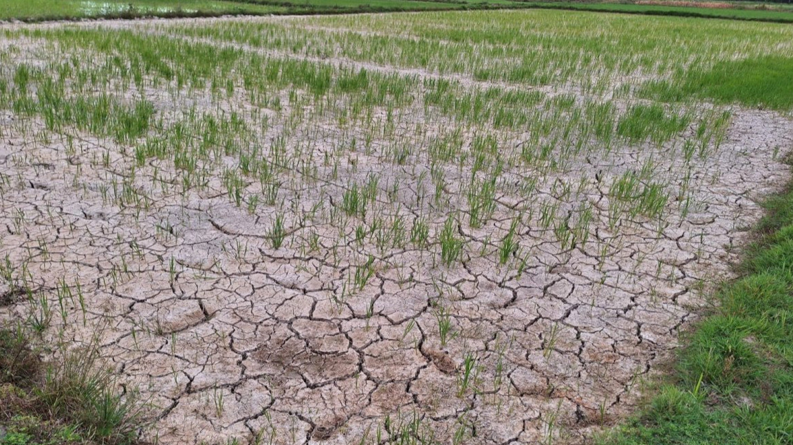 Doa Meminta Hujan saat Musim Kemarau