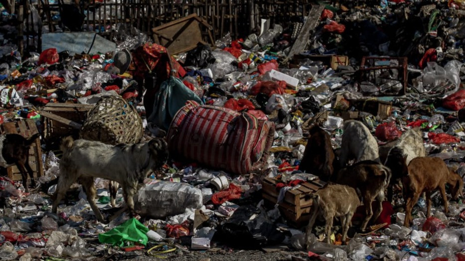 Berita Foto: Gunungan Sampah Dibiarkan, Warga Kalibaru Hirup Bau Menyengat Tiap Hari