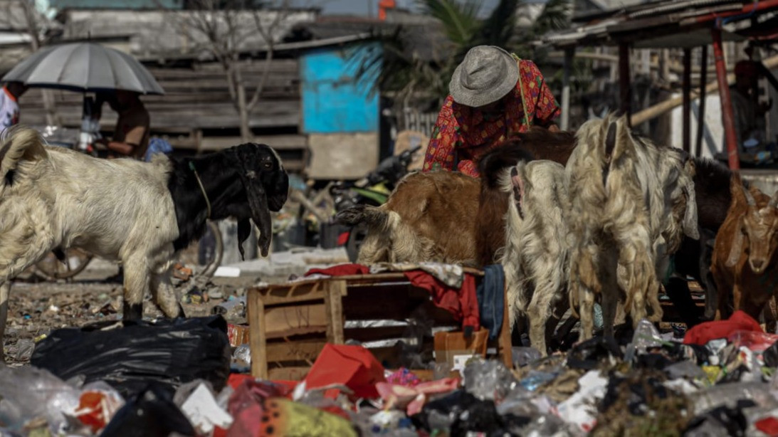 Berita Foto: Gunungan Sampah Dibiarkan, Warga Kalibaru Hirup Bau Menyengat Tiap Hari