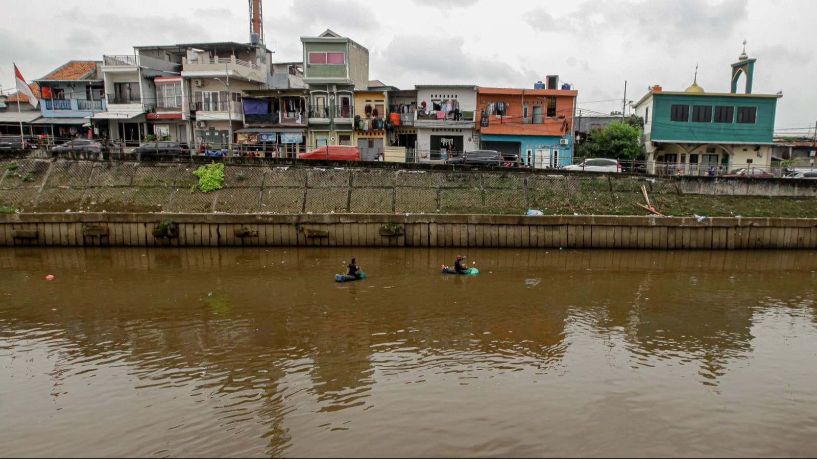 Berita Foto: Warga Tangkap Ikan Sapu-Sapu, Potensi dan Risiko Jadi Sorotan