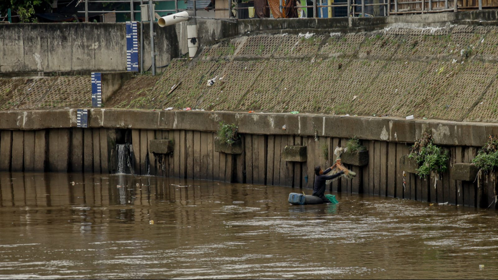 Berita Foto: Warga Tangkap Ikan Sapu-Sapu, Potensi dan Risiko Jadi Sorotan