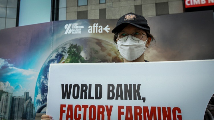 Organisasi Act for Farmed Animals (AFFA) bersama koalisi Stop Financing Factory Farming (S3F) gelar aksi di kawasan Jalan Jenderal Sudirman, Jakarta, Jumat (17/4).