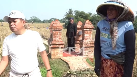 Dedi Mulyadi saat mengecek sawah