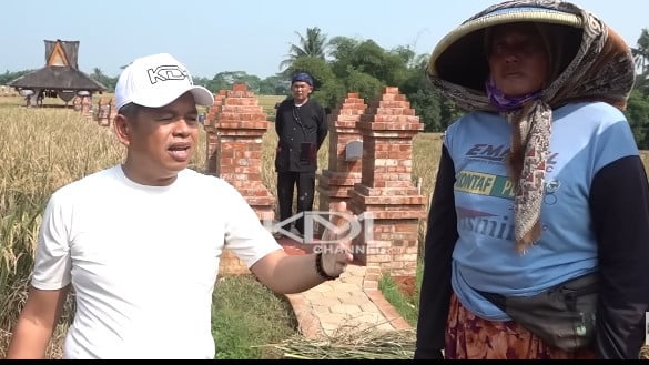 Dedi Mulyadi saat mengecek sawah