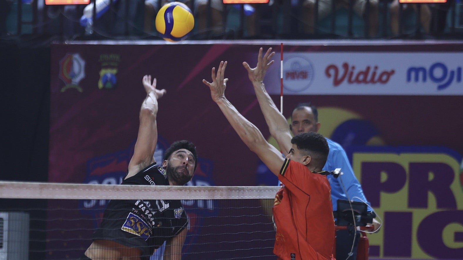 Taylor Sander (LavAni) di Proliga 2026