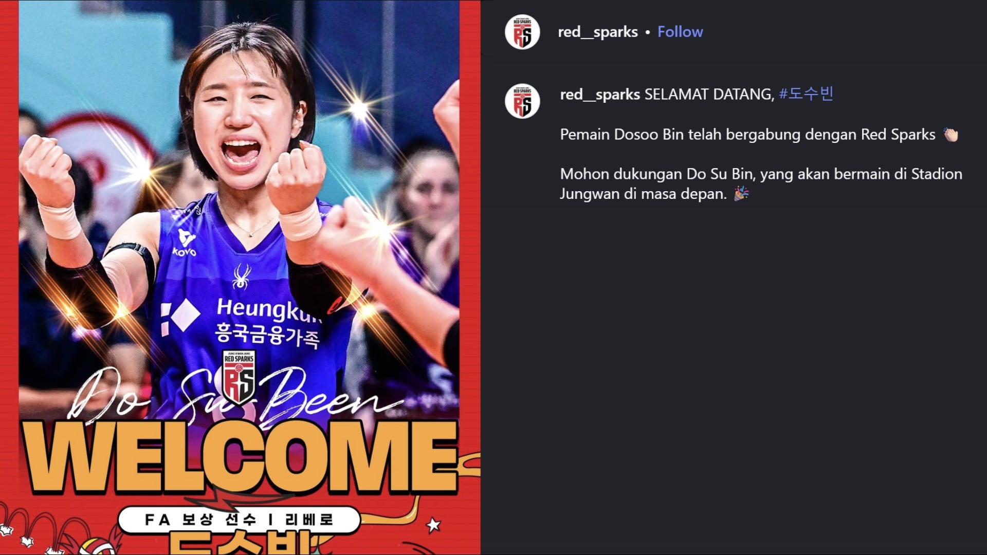 Pemain baru Red Sparks, Do Su-bin